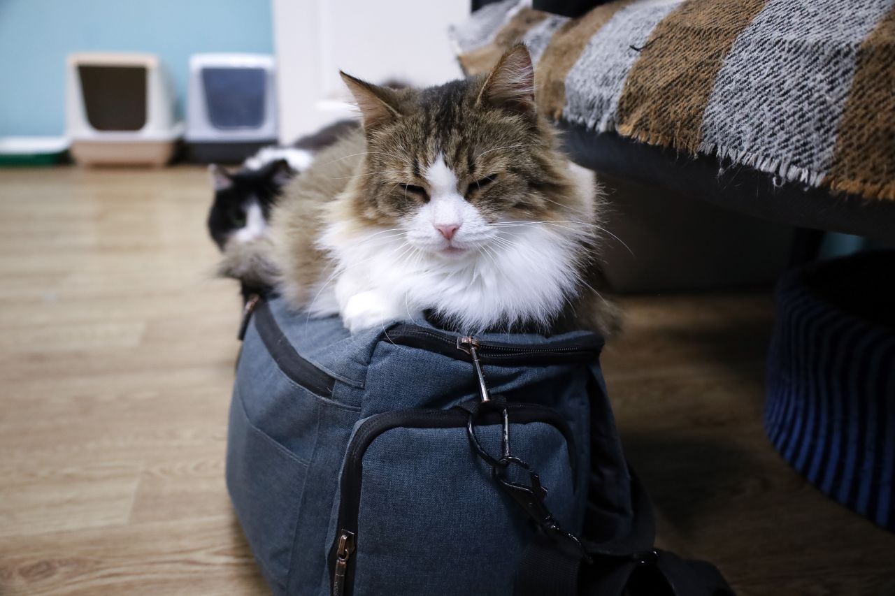 Фото: Елена Майорова