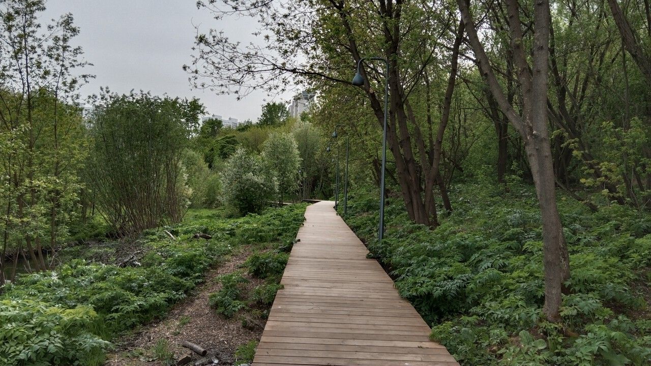 В Серебрянском парке в Перми строят два дождевых сада