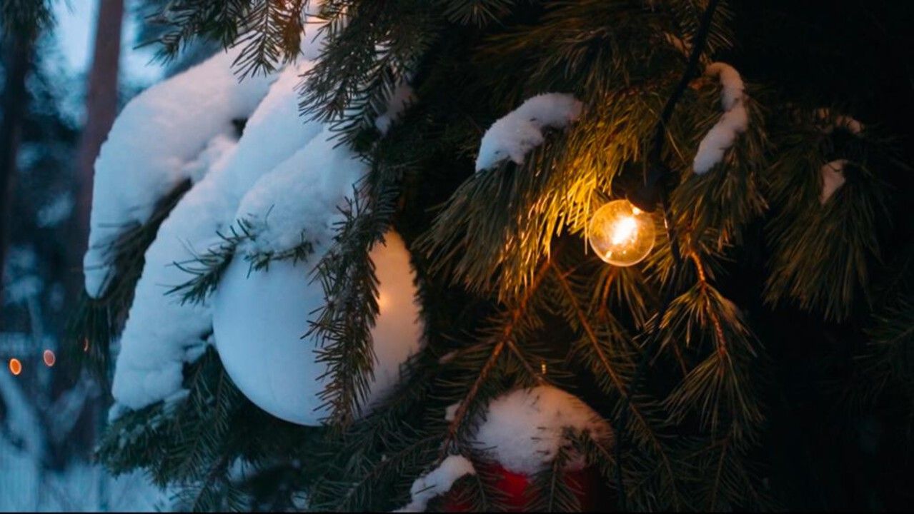 ​Дмитрий Махонин поздравил жителей Прикамья с наступающим Новым годом  