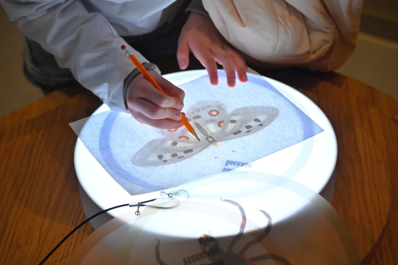 Фото: Telegram-канал Дмитрия Махонина