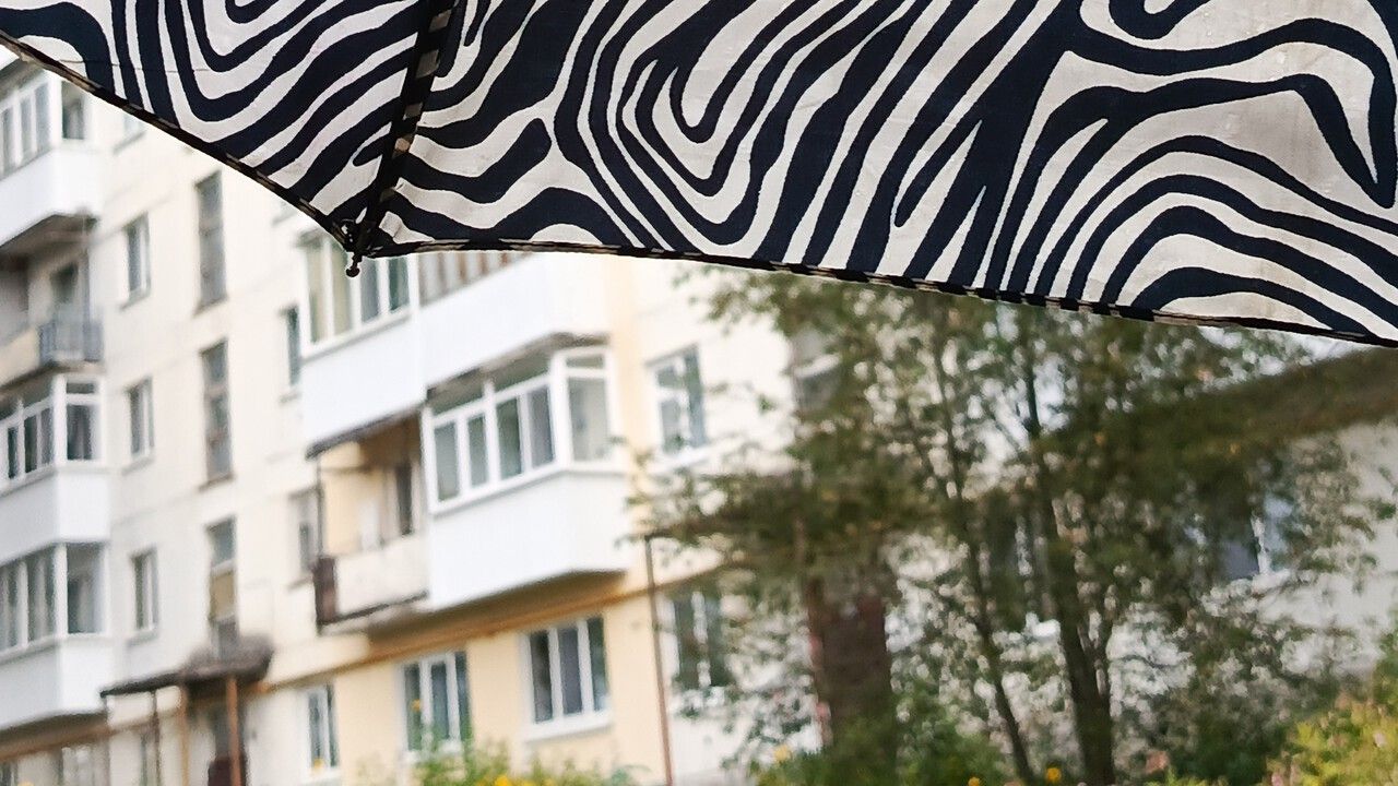 ​Треть месячной нормы осадков выпала за ночь в Перми