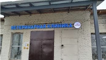 Арбитражный суд Пермского края оштрафовал ветклинику за продажу лекарств без лицензии