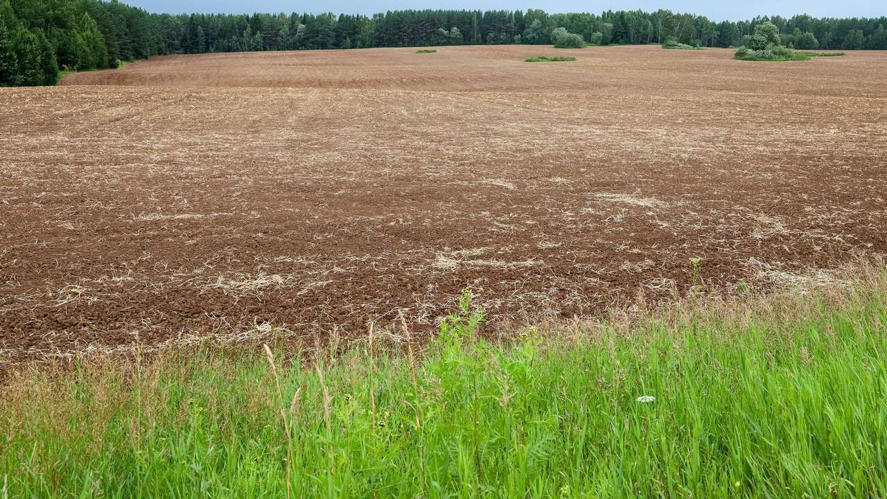 ​В Прикамье скорректируют правила продажи земельных участков сельхозназначения