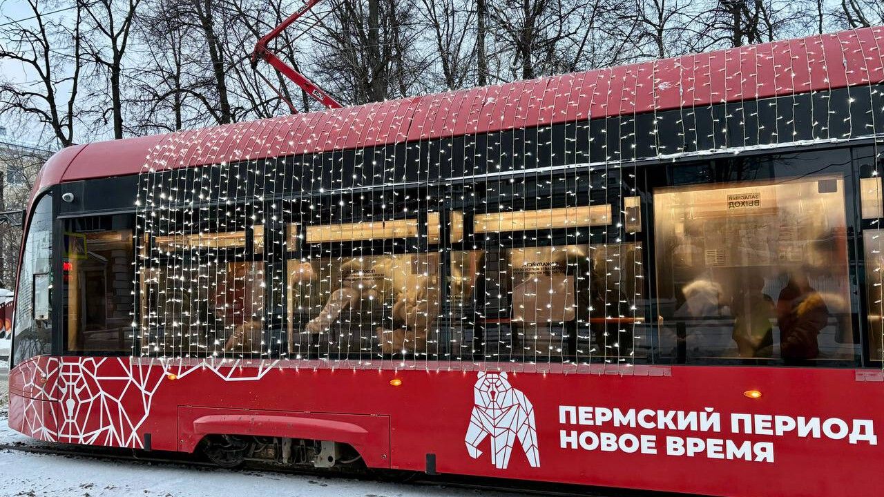 С 10 января несколько трамваев в Перми будут ходить через один из-за кронирования деревьев