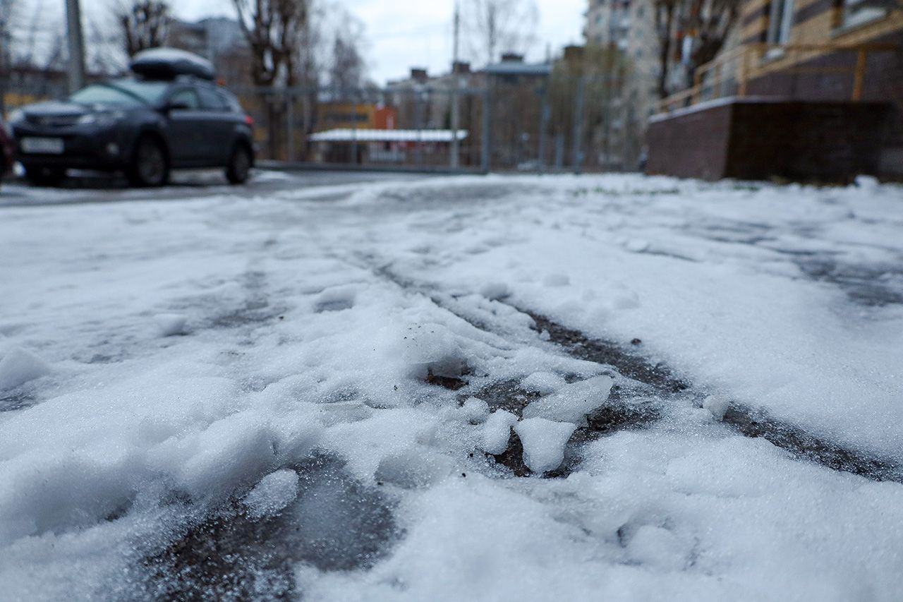 Фото: Елена Майорова