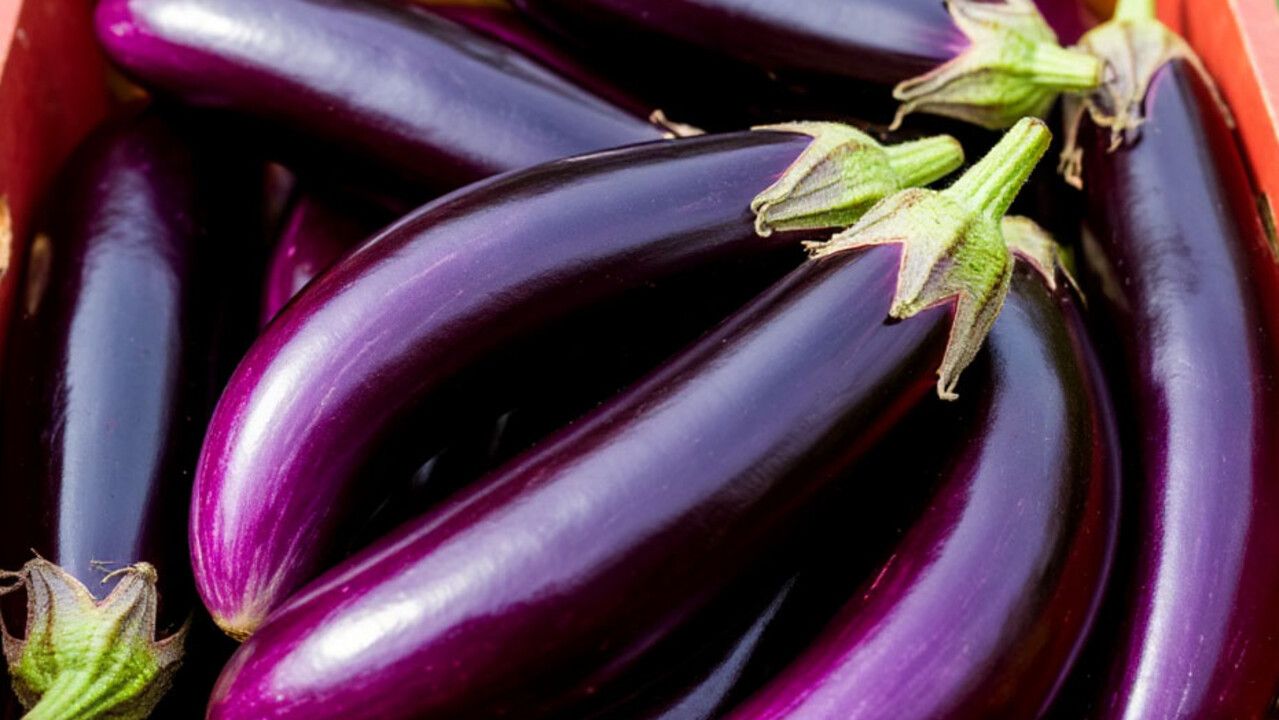 ​81 тонна баклажанов из Китая поступила в Пермский край в 2025 году