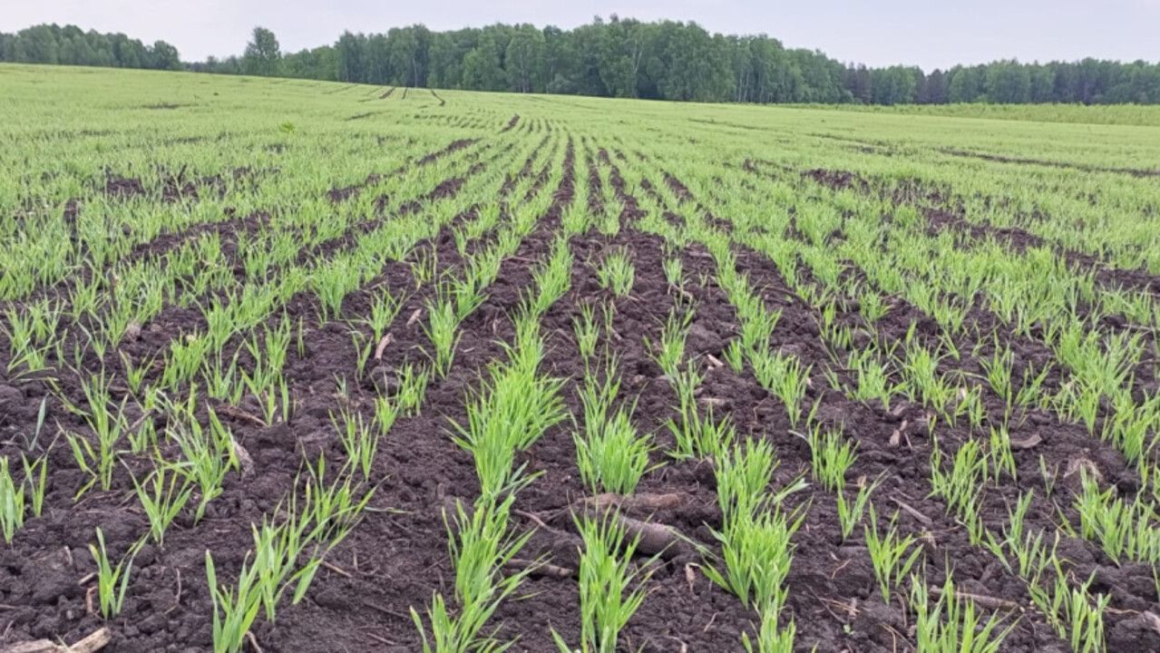 ​В Пермском крае разрабатывают дополнительные меры поддержки аграриев