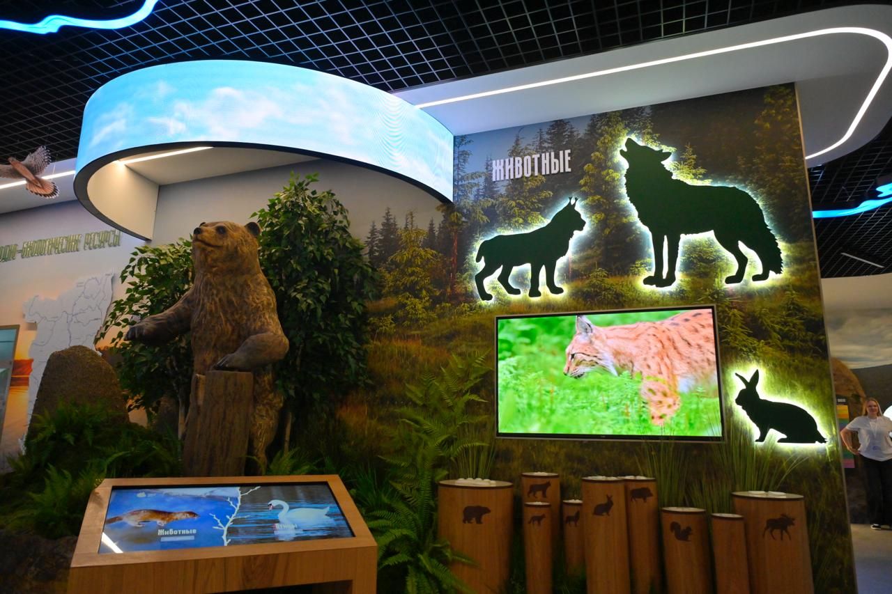 Фото: Telegram-канал Дмитрия Махонина