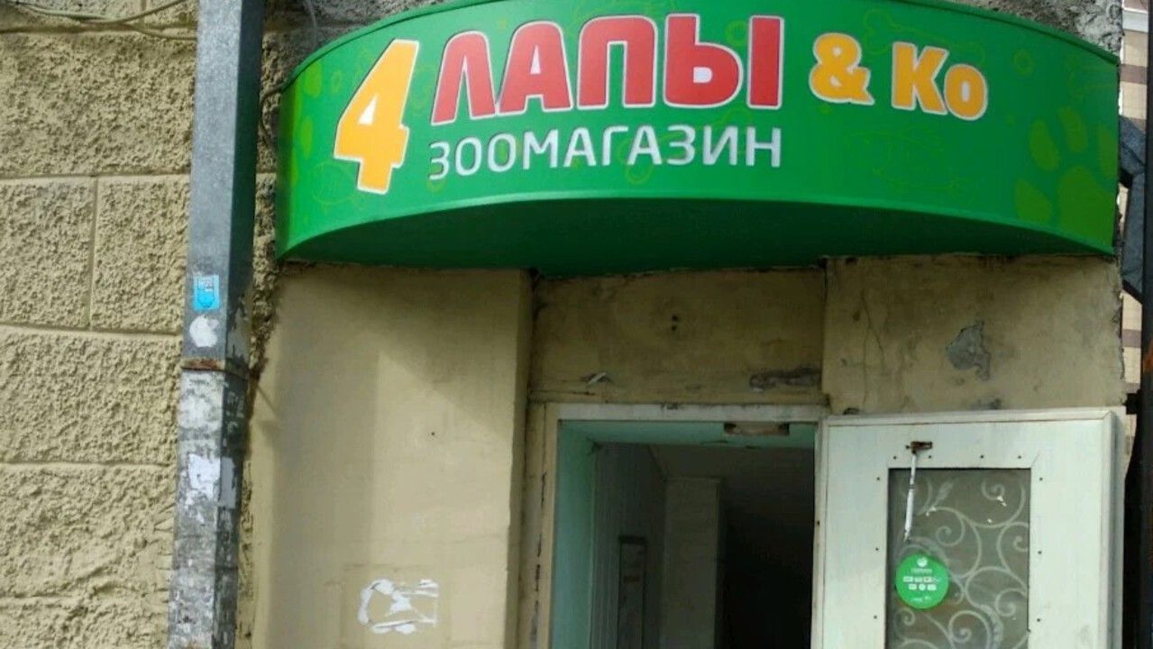 Предпринимателя оштрафовали за продажу в Перми ветпрепаратов без лицензии 