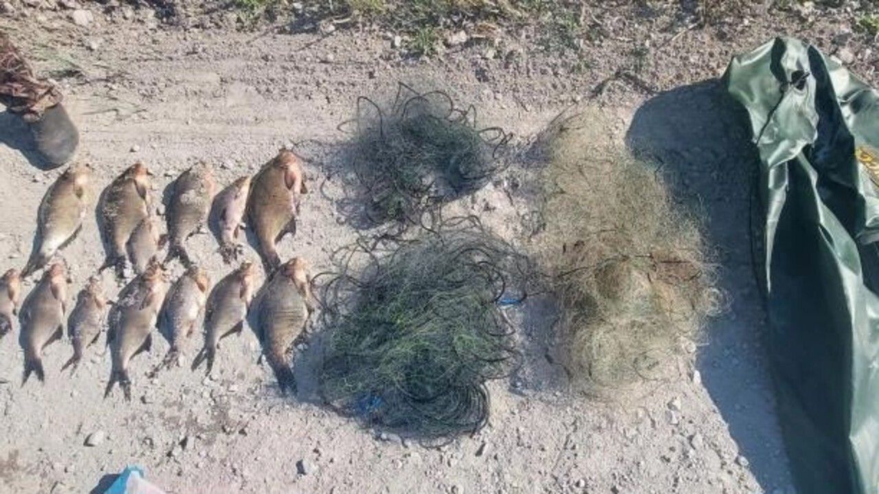 В Березниках задержали браконьера 
