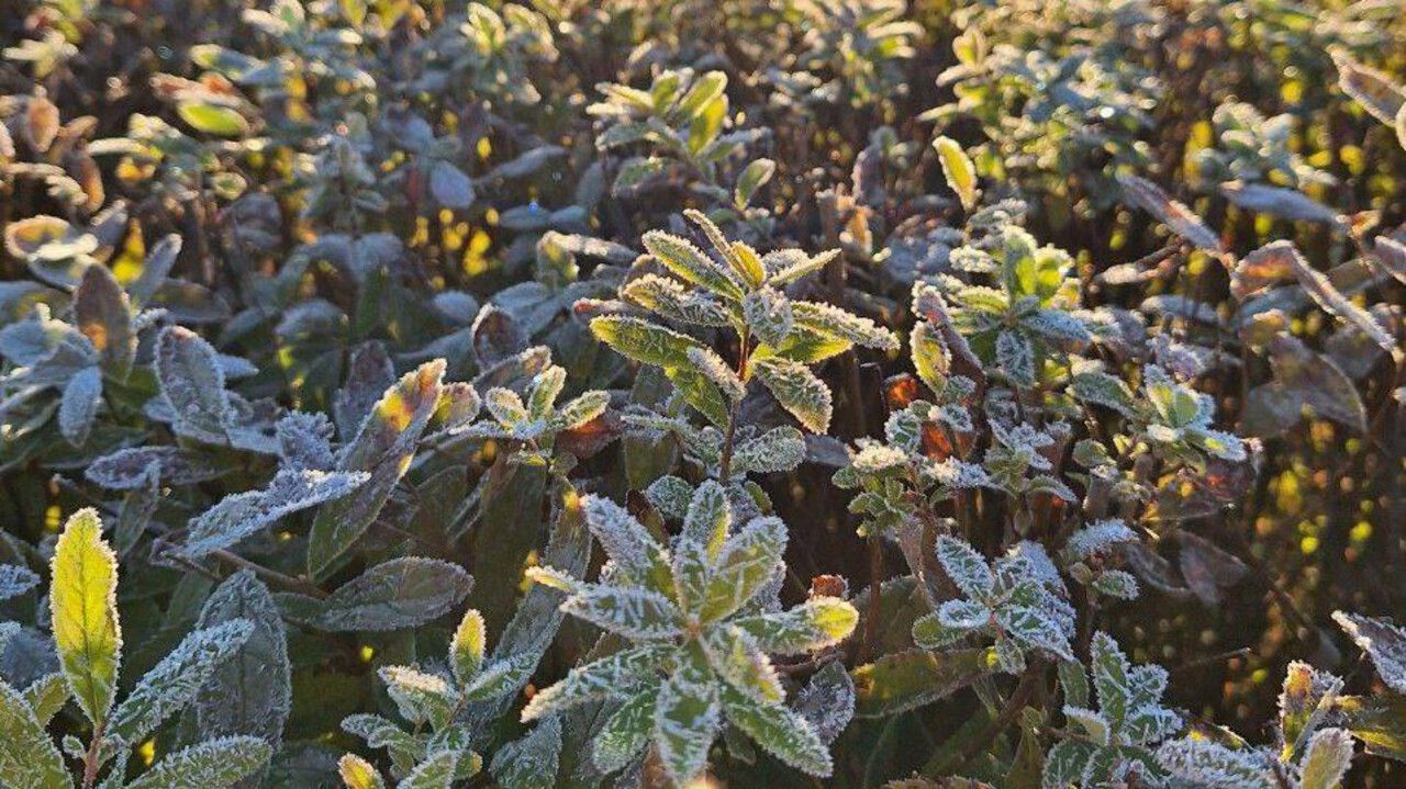 Прошедшая сентябрьская ночь в Перми оказалась самой холодной за 122 года