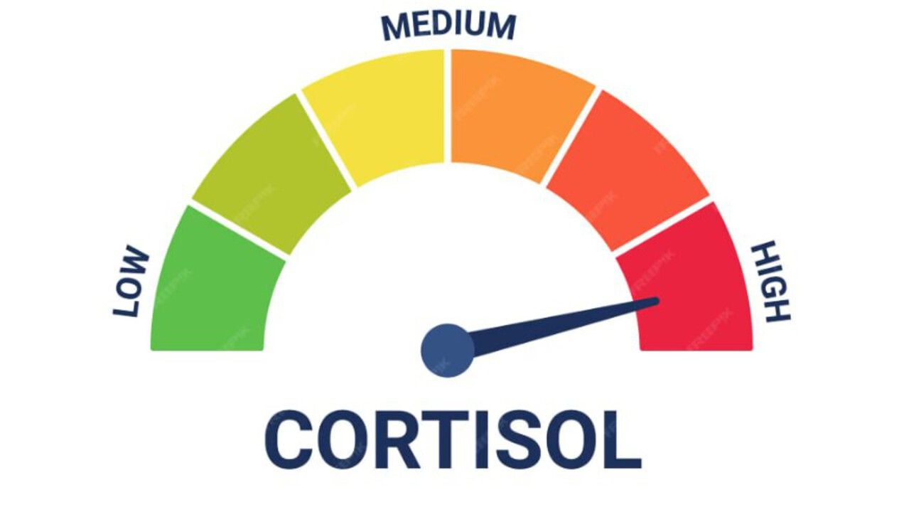 Что надо знать о кортизоле и его действии на человека