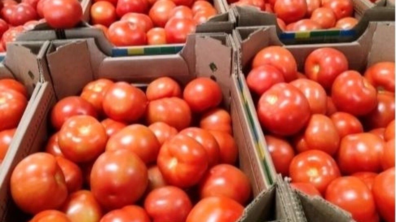 ​Поставки томатов из Пермского края в регионы России увеличились почти втрое