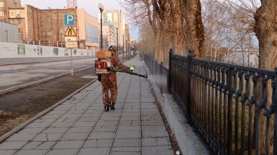 ​В зеленых зонах Перми идет противоклещевая обработка