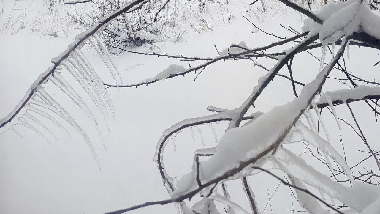 ​В Пермском крае ночь на вторник отметилась морозами до -25°C