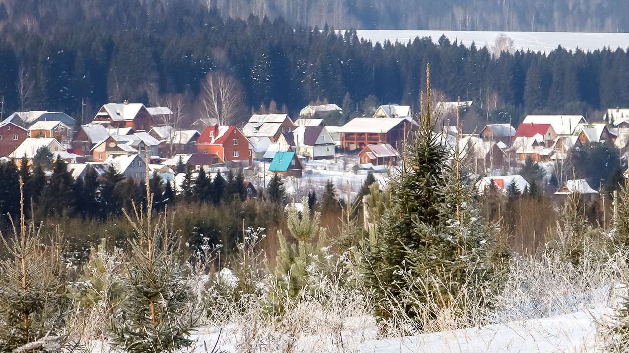 В Пермском крае проведут опрос о доходах населения и участии в социальных программах