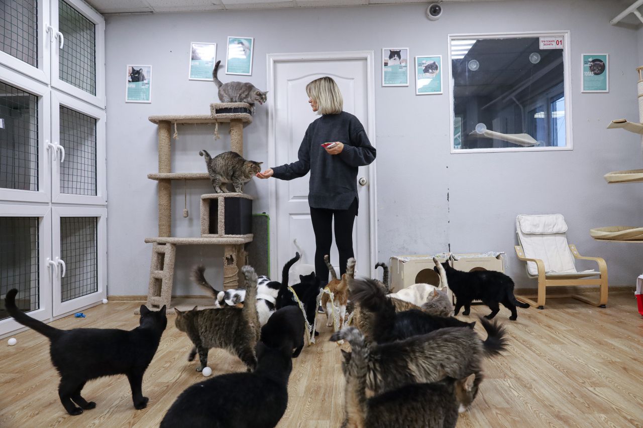 Фото: Елена Майорова