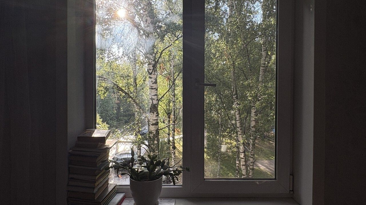 Как прошло лето 2025 года в Прикамье и какие были погодные особенности