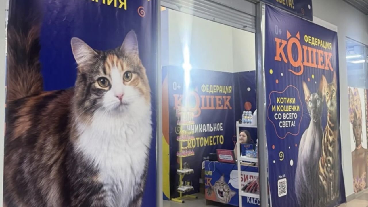 ​В Соликамске предпринимателя оштрафовали за использование животных без обязательной лицензии