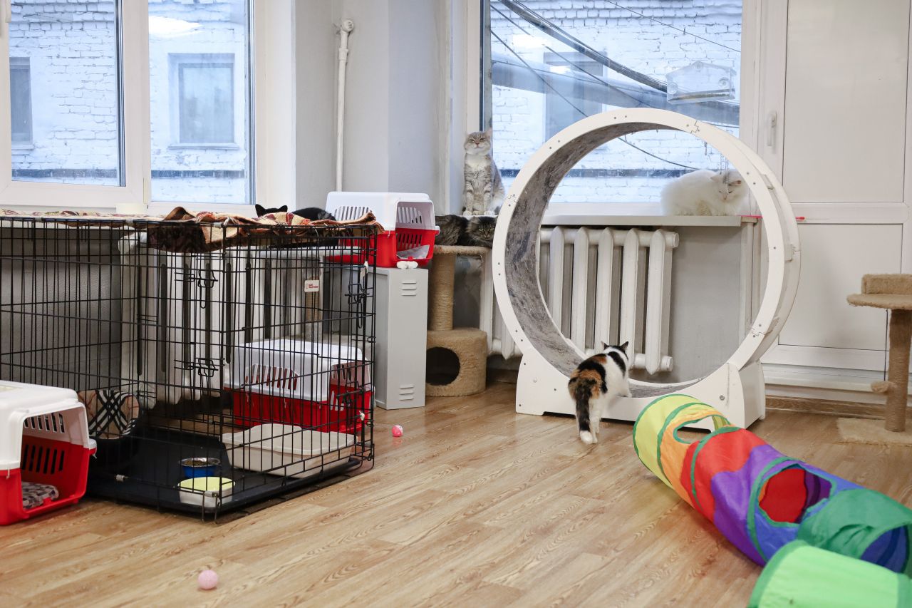 Фото: Елена Майорова