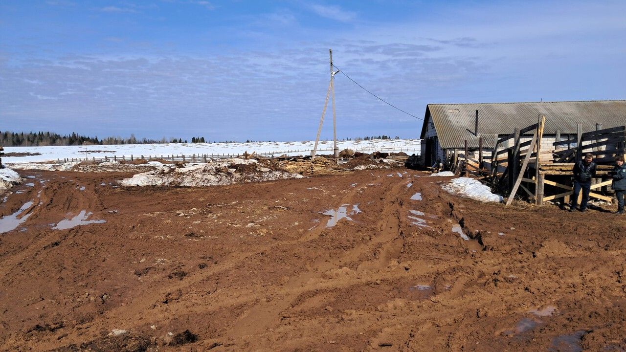 В Прикамье агропредприятие «Соколово» оштрафовано после проверки Россельхознадзора