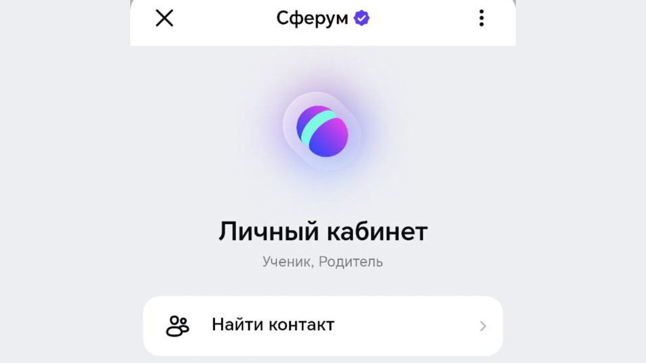 Более 100 тысяч жителей Прикамья используют «Сферум» в мессенджере Max