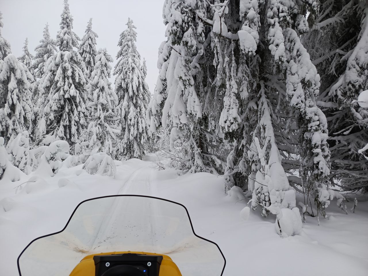 Пермякам напомнили о запрете езды на снегоходах и другом транспорте в границах ООПТ