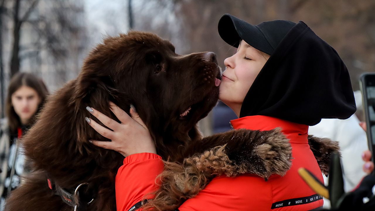 Ментал-коуч для Тузика: кто такой зоопсихолог и кому и как он помогает