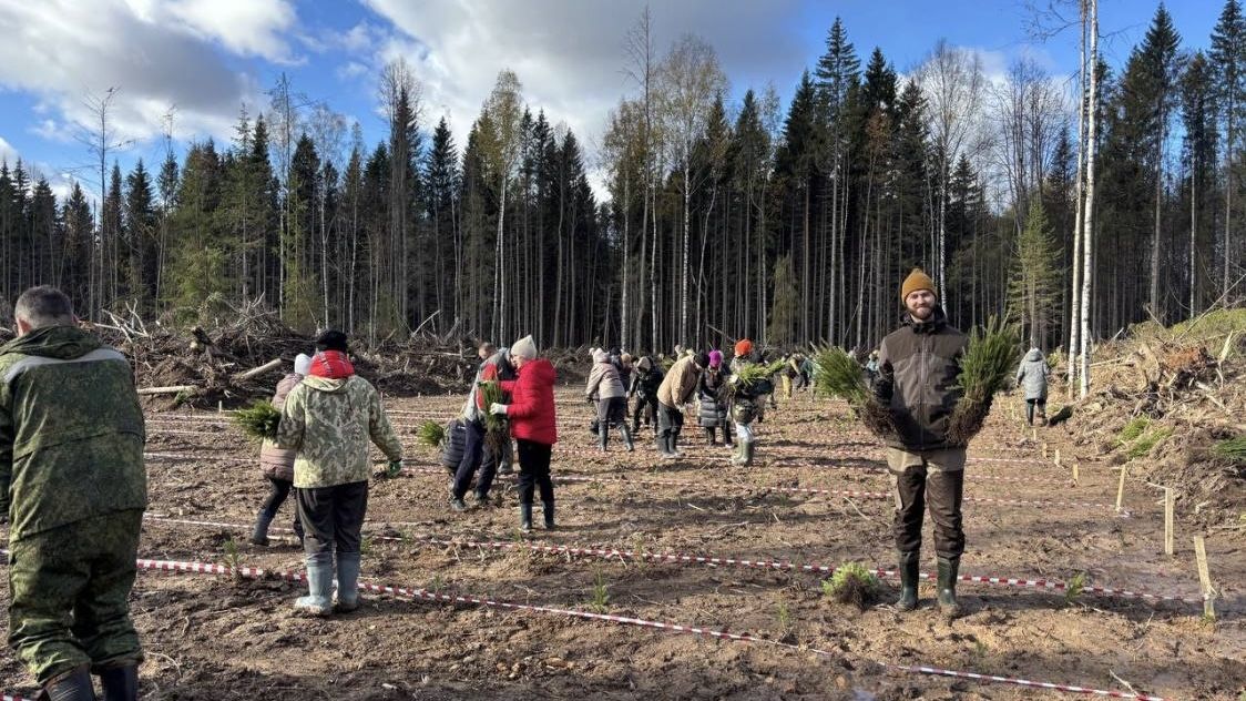 В Прикамье заложена мемориальная роща-геоглиф