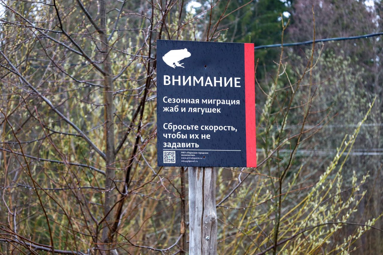 Фото: Елена Майорова