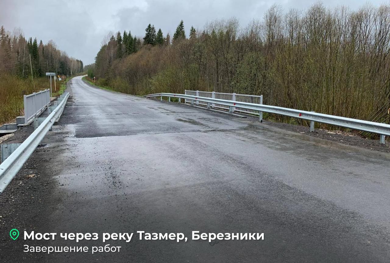 Фото: Telegram-канал Дмитрия Махонина