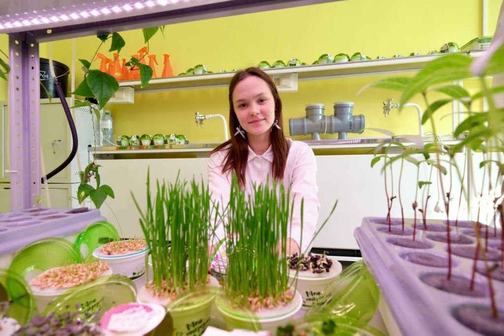 Фото: правительство Пермского края