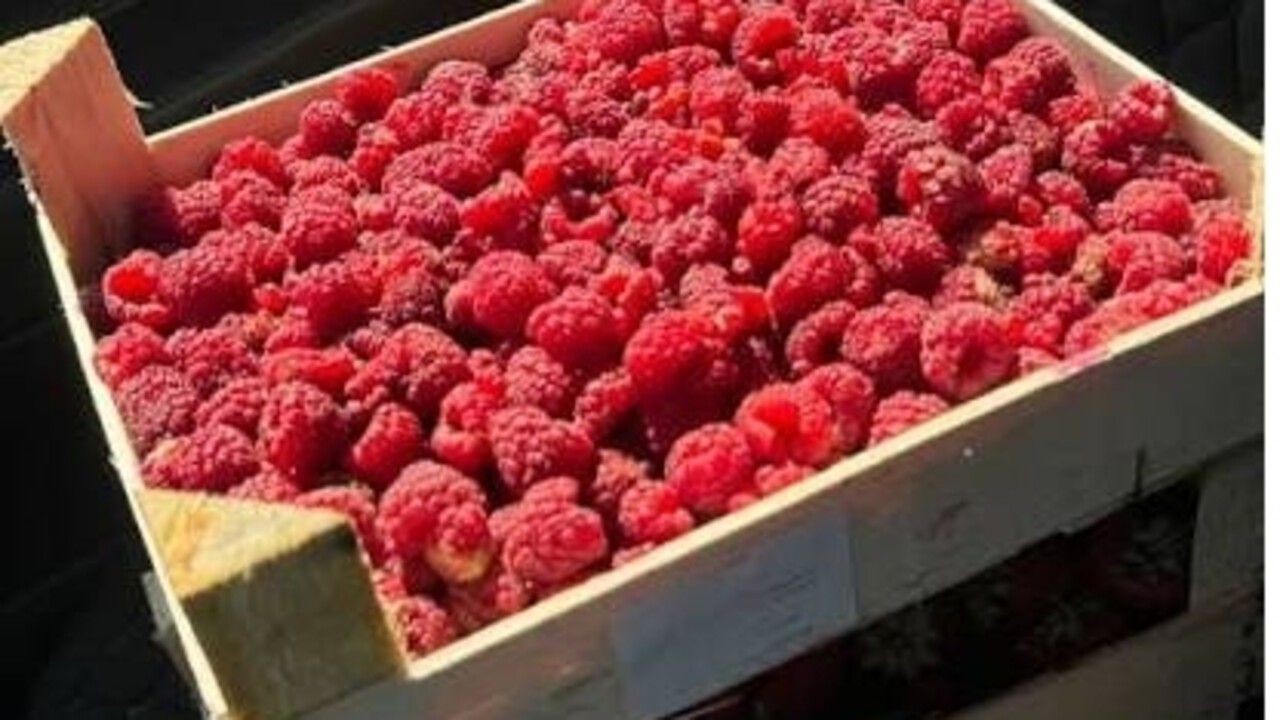 Поставки свежих ягод из Киргизии в Прикамье выросли в 1,8 раза