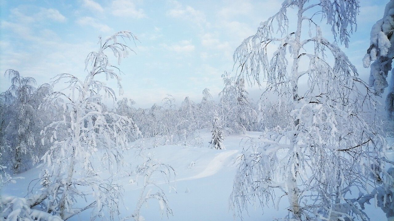 ​Морозы до -40 градусов ожидаются на этой неделе в Прикамье