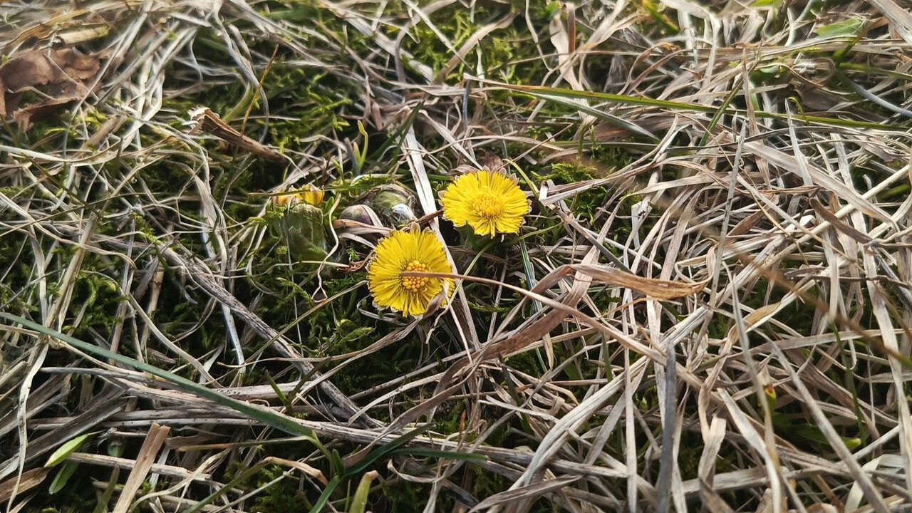 В Перми восьмой раз зафиксирован температурный рекорд