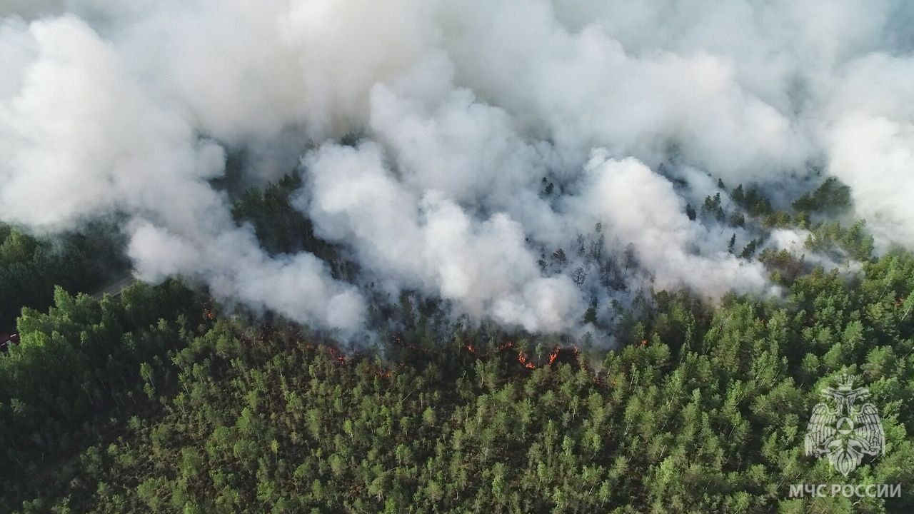 «Летняя жара грозит огнём»: Прикамью не так страшен паводок, как лесные пожары