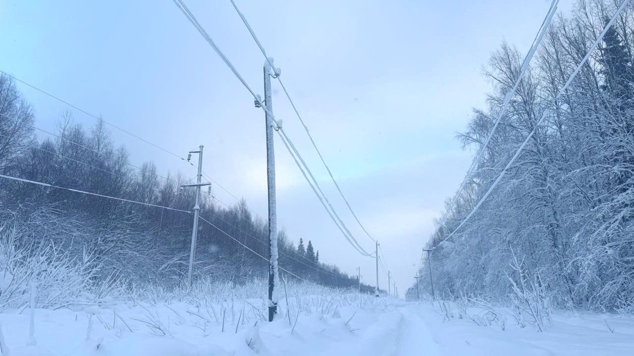 Фото: пресс-служба  ПАО «Россети Урал»