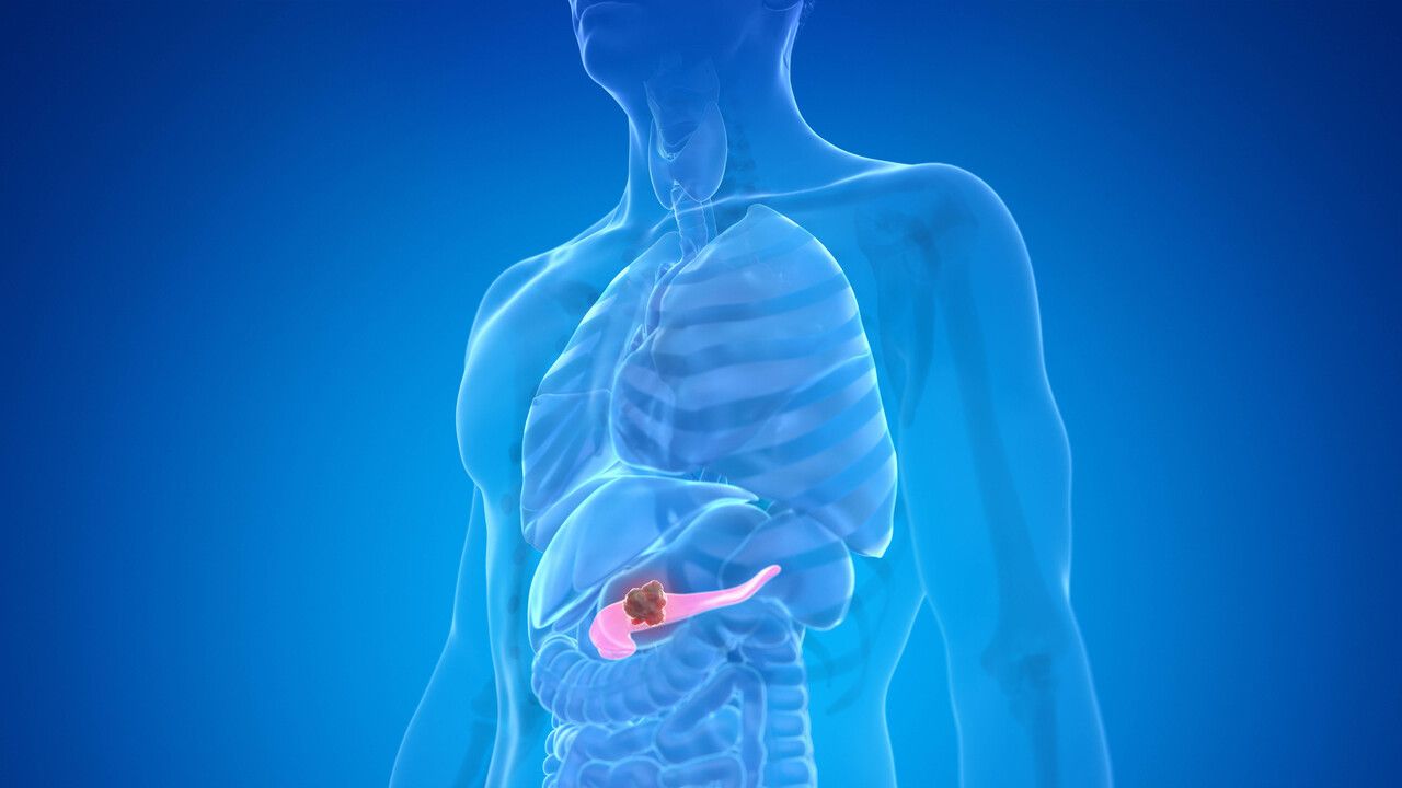 Как помочь поджелудочной железе пережить новогоднее обжорство