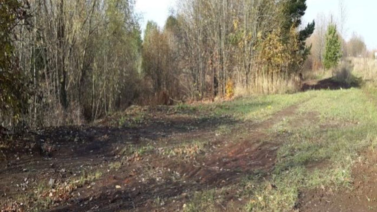 В Ординском округе устранили свалку площадью более 2,4 тысячи квадратных метров