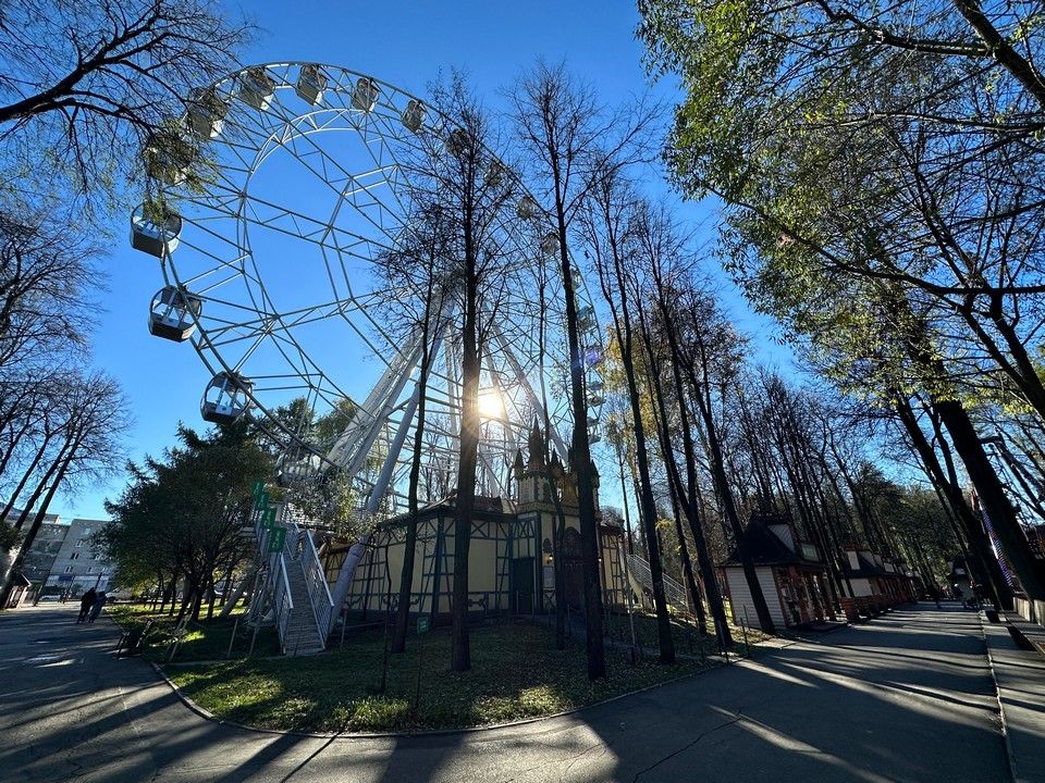 ​В парке им. Горького сменился директор, власти требуют ответов за состояние территории