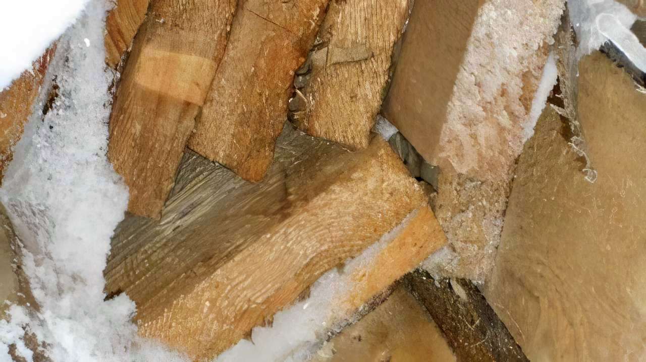 ​В Пермском крае бизнесмена оштрафовали за нарушение правил хранения заражённых пиломатериалов