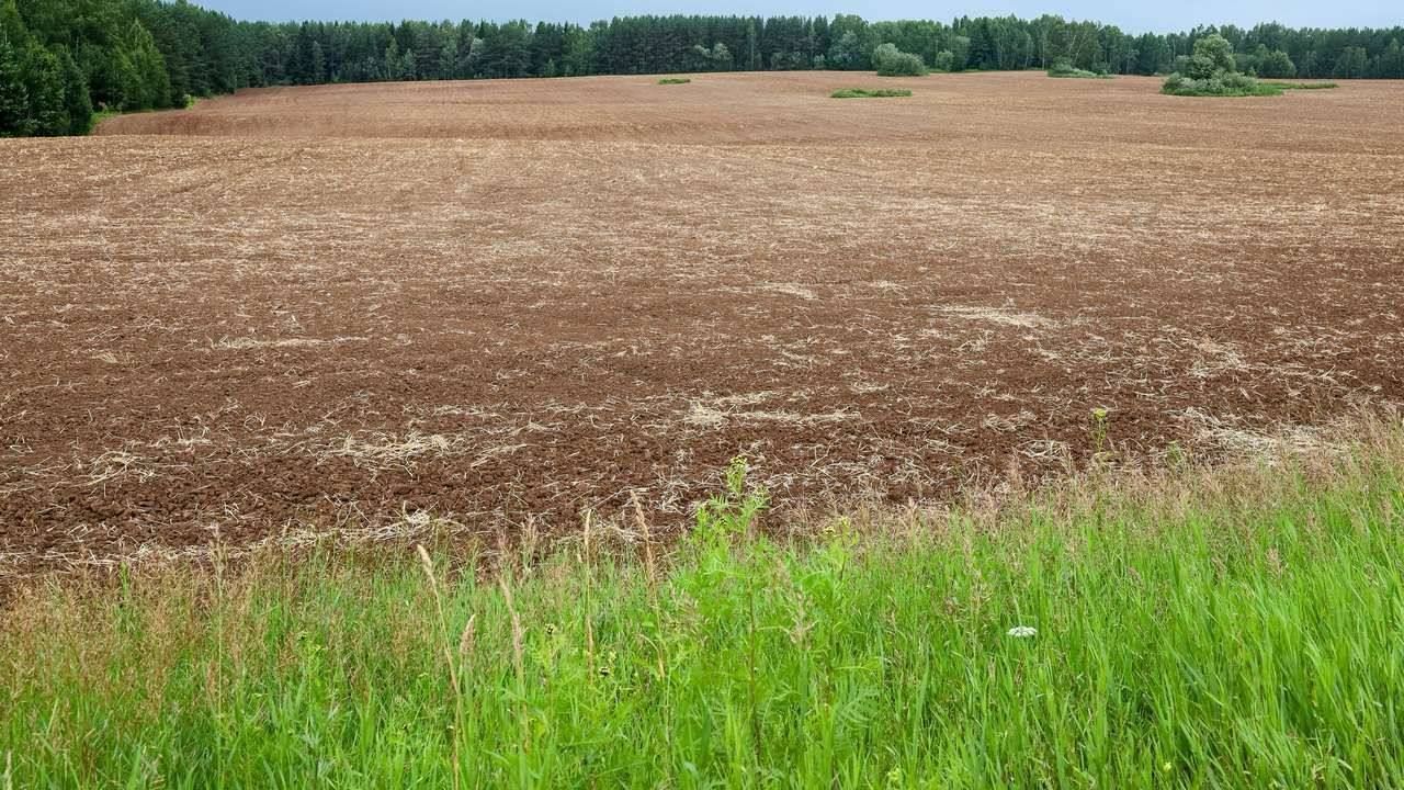 ​В Прикамье могут расширить меры поддержки льготных категорий граждан по получению земли