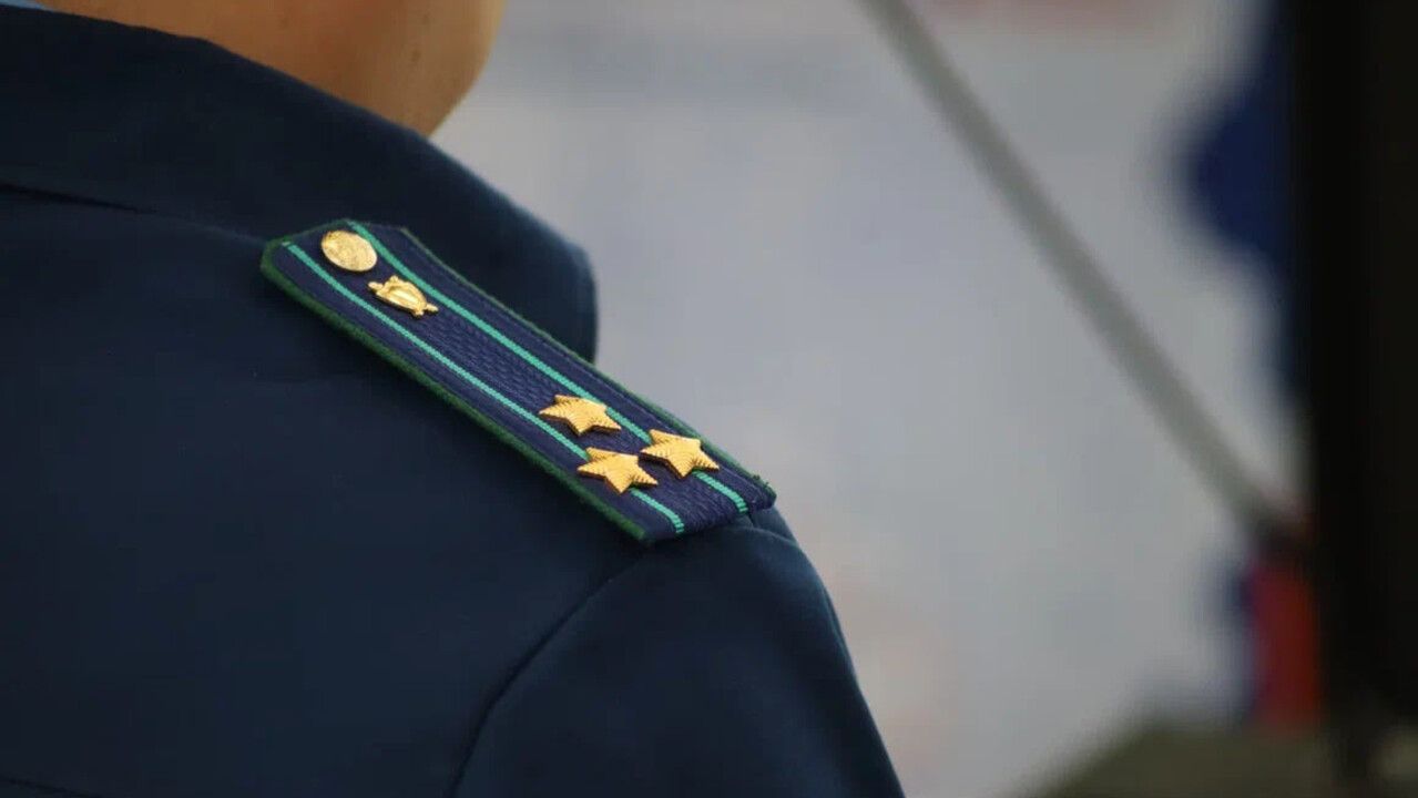 Приставы взыскали три миллиона рублей за незаконную вырубку леса в Прикамье