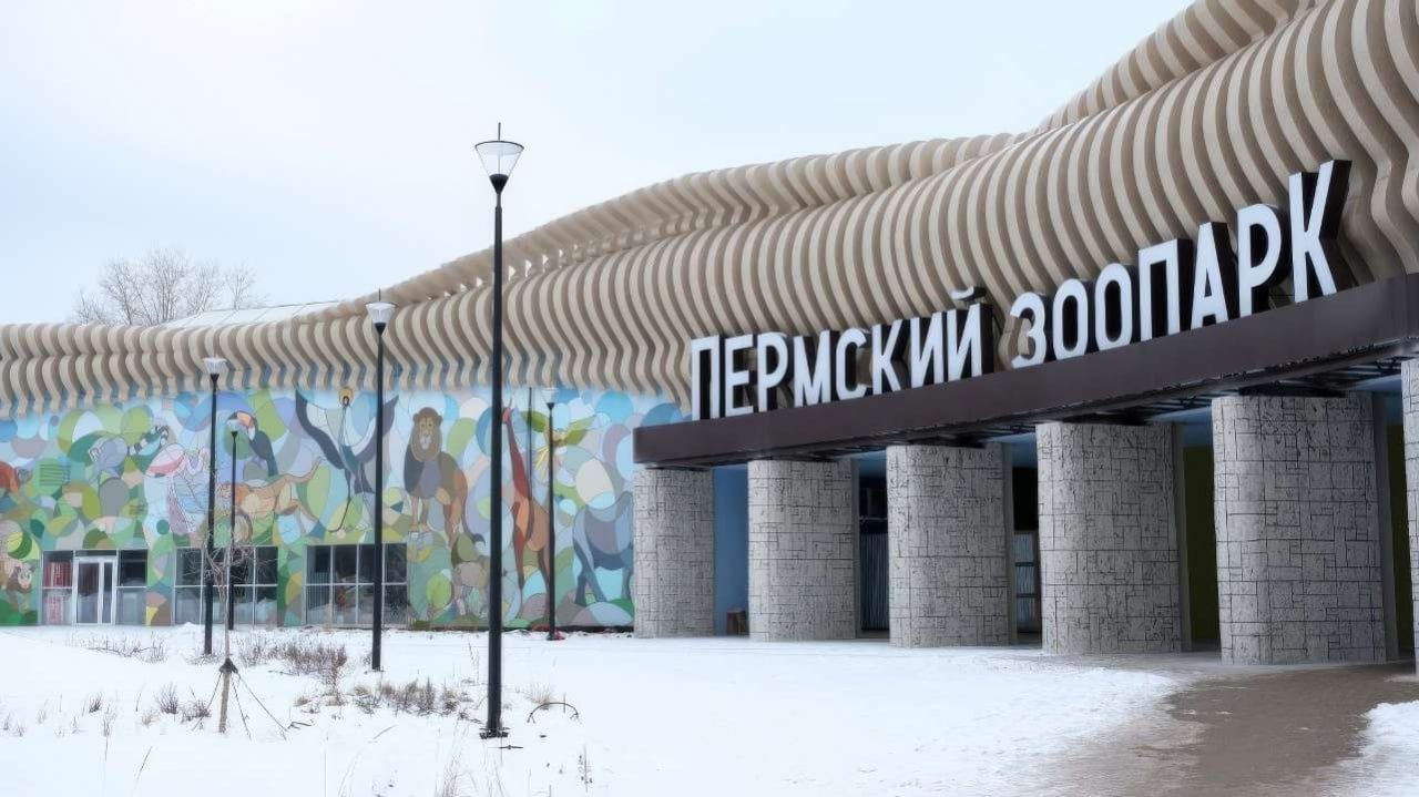 ​В новом пермском зоопарке откроют кафе, где посетители смогут наблюдать за полярными медведями сквозь стеклянную стену
