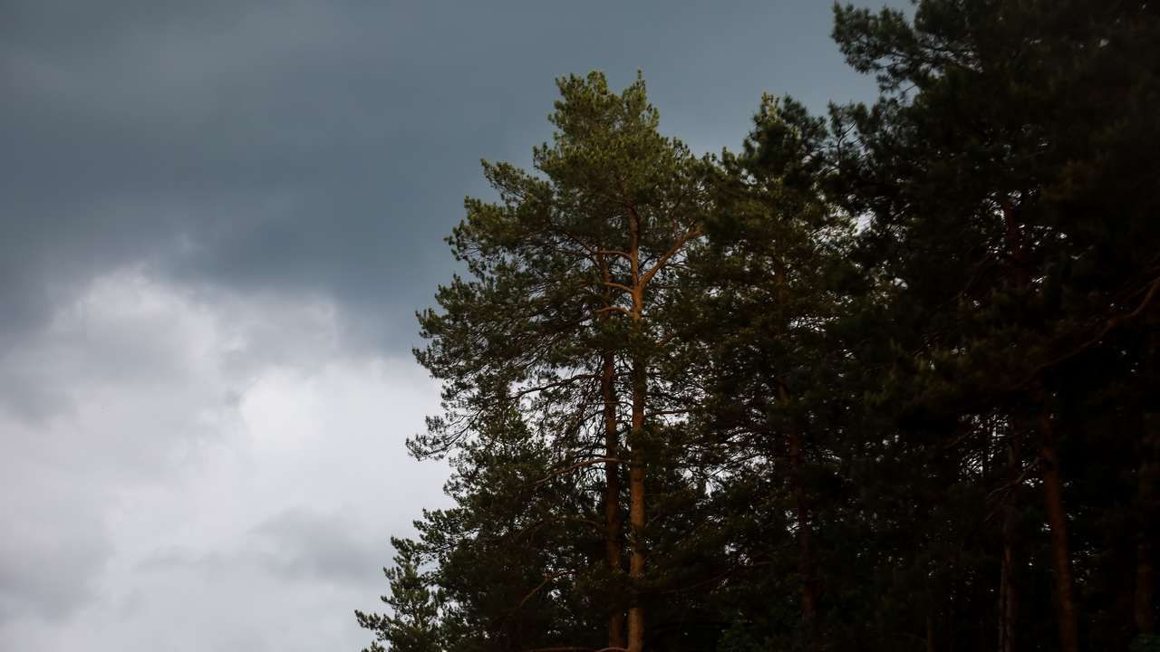 ​В Прикамье неделя начнется по-летнему тепло, но завершится похолоданием