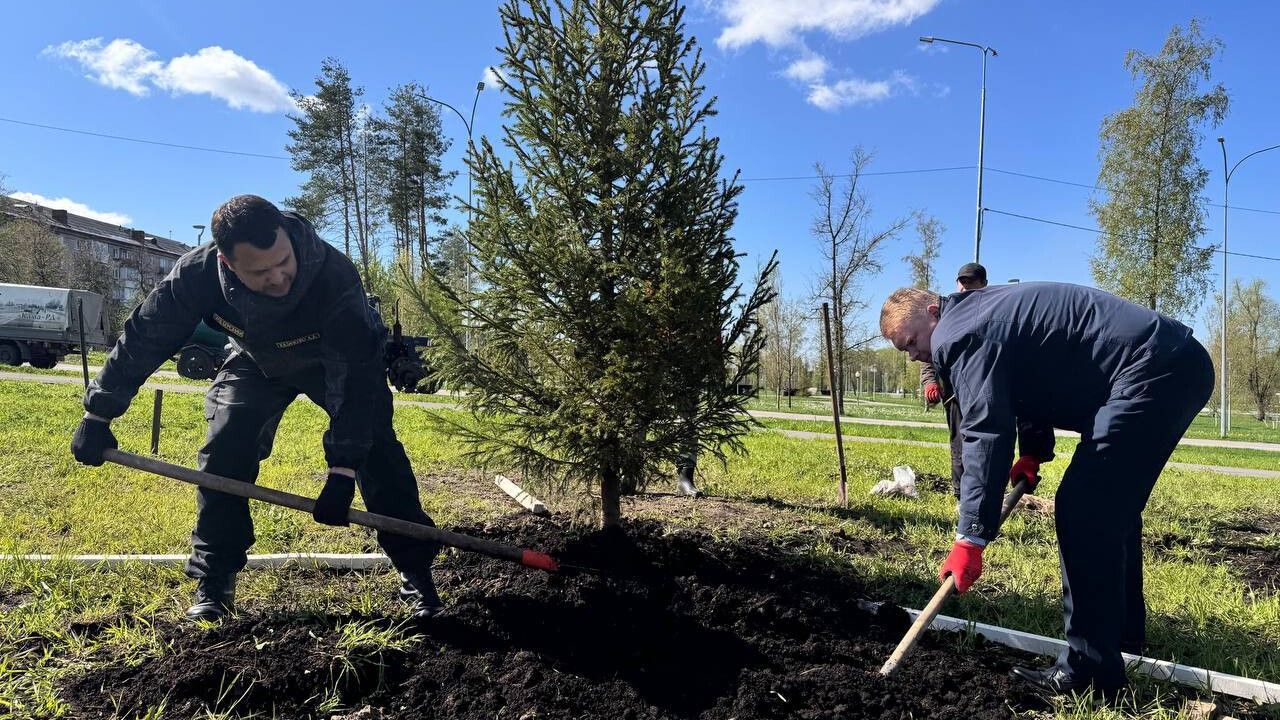 В Березниках дали старт озеленению в городе