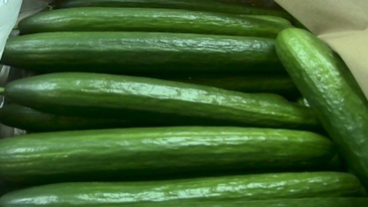 ​Импорт свежих огурцов из Казахстана в Пермский край вырос в семь раз с начала 2026 года