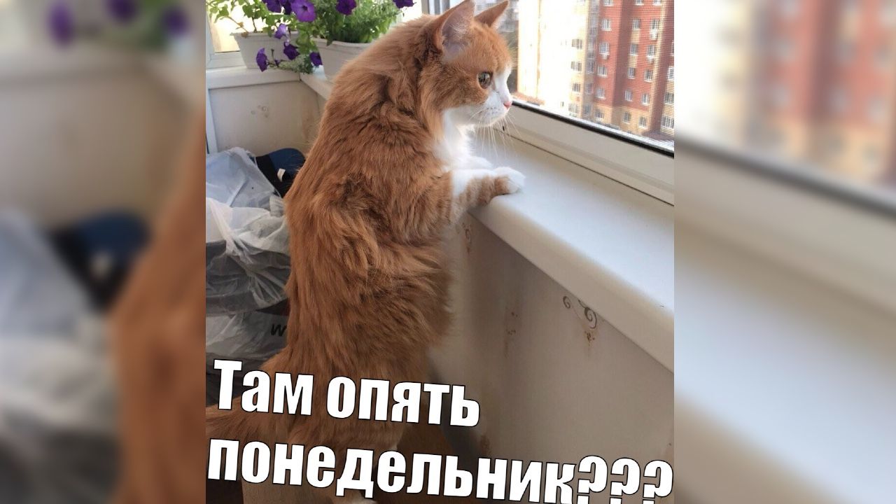 В чем заключается «магия» понедельников или как перестать загонять самого себя