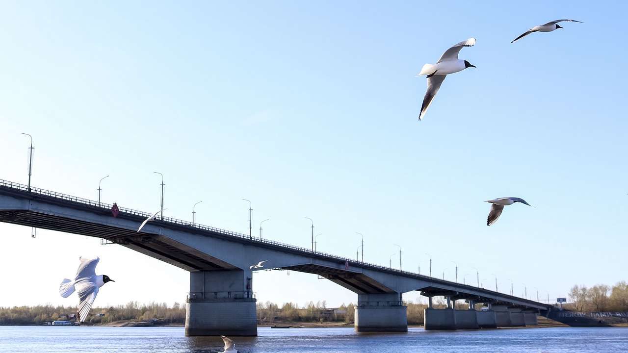 Коммунальному мосту исполнилось полвека, он требует капитального ремонта. Фото: Елена Майорова