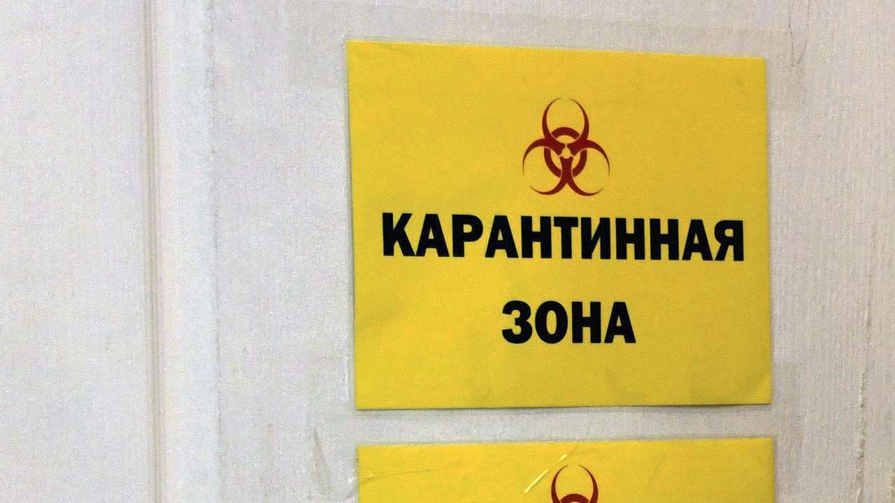 COVID-19 спустя шесть лет: как сегодня обстоит ситуация с коронавирусом в Прикамье